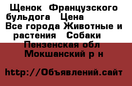 Щенок  Французского бульдога › Цена ­ 35 000 - Все города Животные и растения » Собаки   . Пензенская обл.,Мокшанский р-н